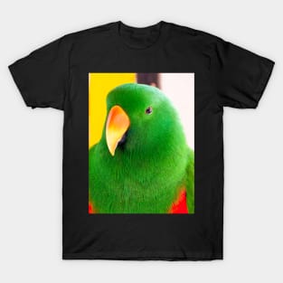 Male Eclectus Parrot (North East Australia) T-Shirt